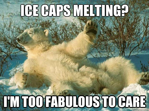 fabulous polar bear meme